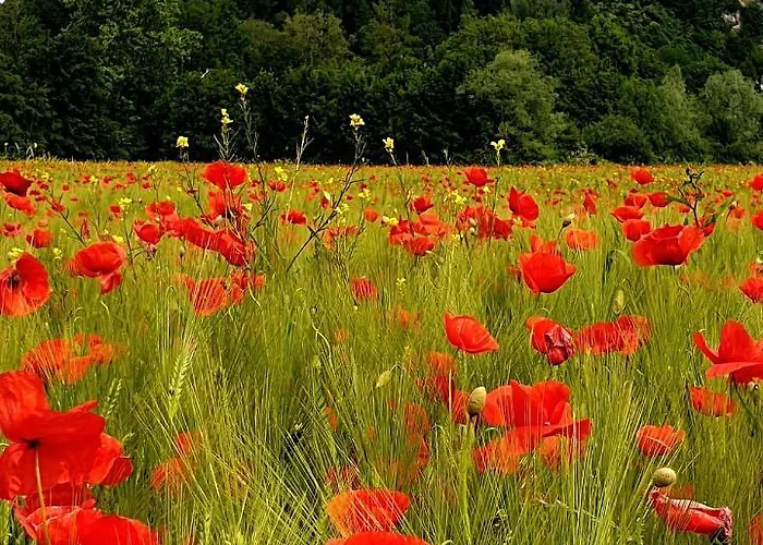 Via Roma 4* Salzburg