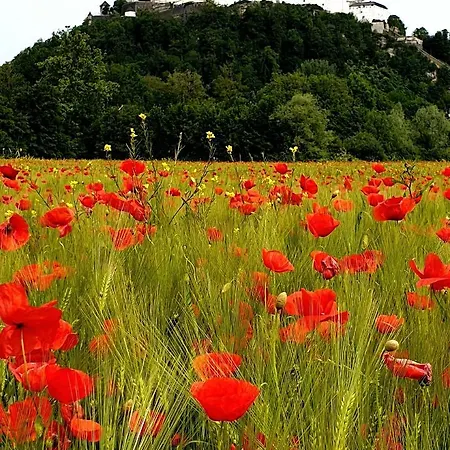 Via Roma 4* Salzburgo