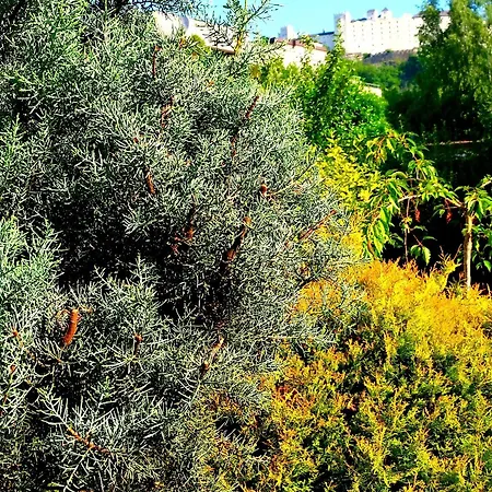 Via Roma Hotel Salzburgo