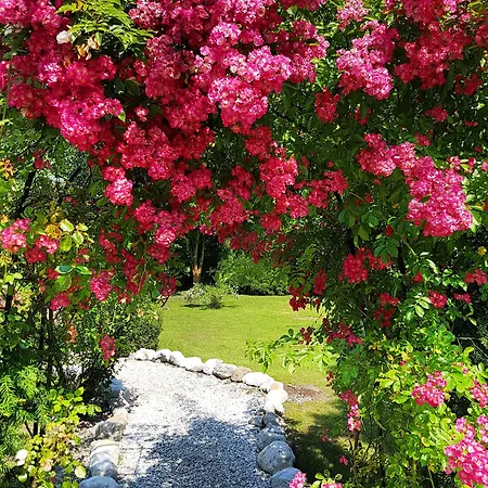 Via Roma Hotel Salisburgo