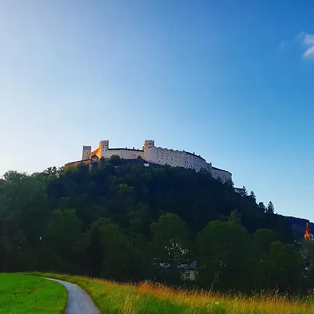 Via Roma Salzburg