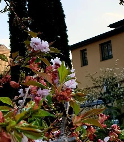 Via Roma Hotel Salzburgo