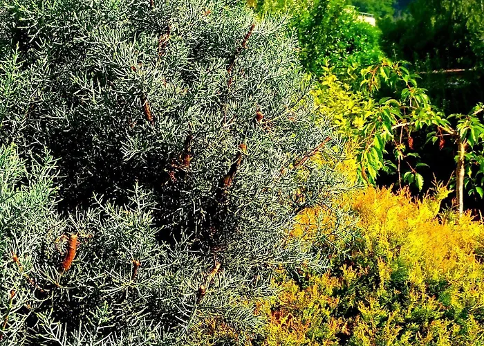 Via Roma Hotel Salzburgo