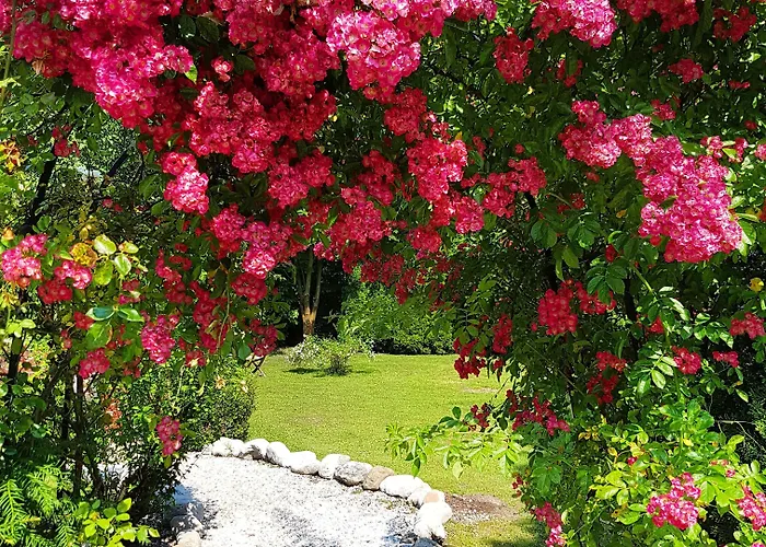 Via Roma Hotel Salzburg